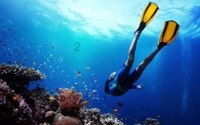 光明乳业去年净利预增超1.5倍：土地补偿款税前收益超4亿元